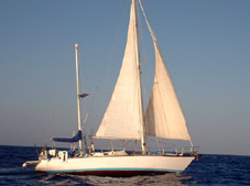 Shérazade
